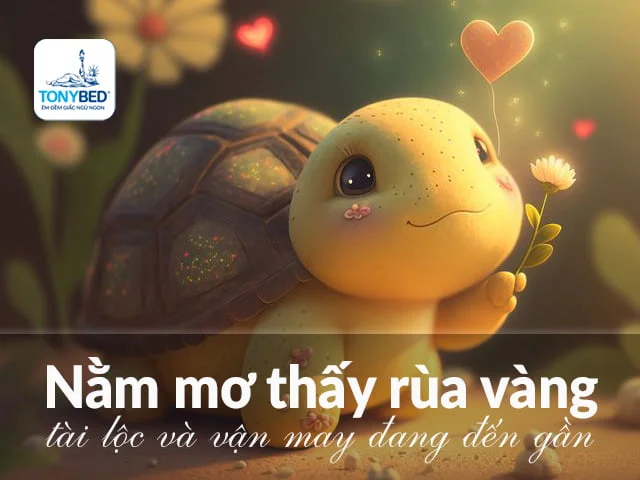 Mơ thấy rùa: Điềm báo gì? May mắn hay xui xẻo?