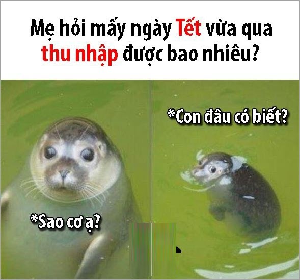 Bộ sưu tập Meme Tết hài hước