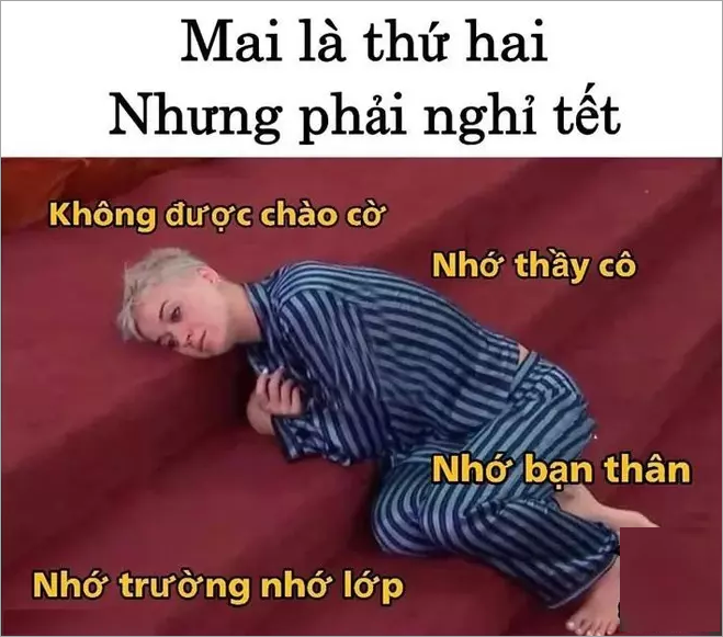 Bộ sưu tập Meme Tết hài hước