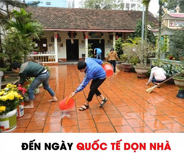 Bộ sưu tập Meme Tết hài hước