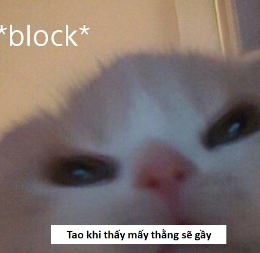 Tuyển tập ảnh Sẽ gầy Meme hài hước (update mới)