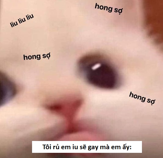 Tuyển tập ảnh Sẽ gầy Meme hài hước (update mới)