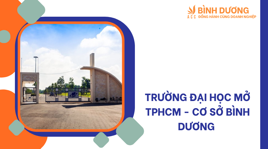 Bình Dương có bao nhiêu trường đại học ?