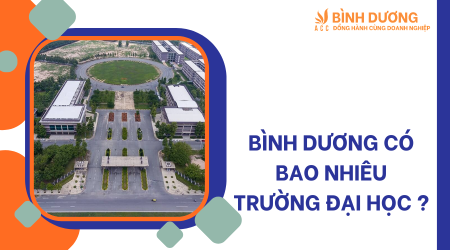 Bình Dương có bao nhiêu trường đại học ?