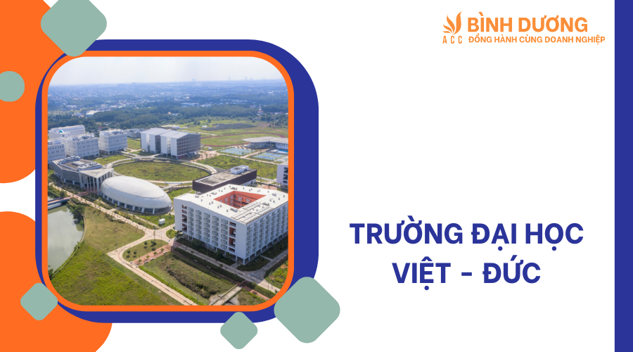 Bình Dương có bao nhiêu trường đại học ?