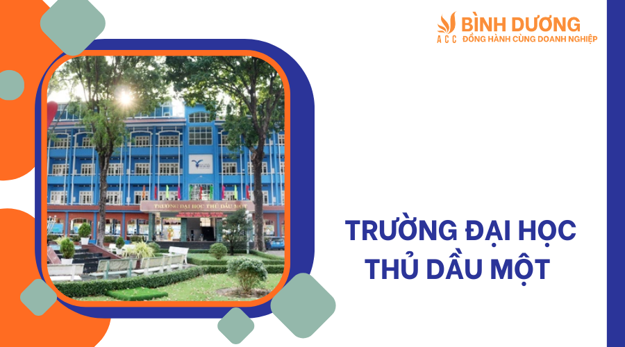 Bình Dương có bao nhiêu trường đại học ?