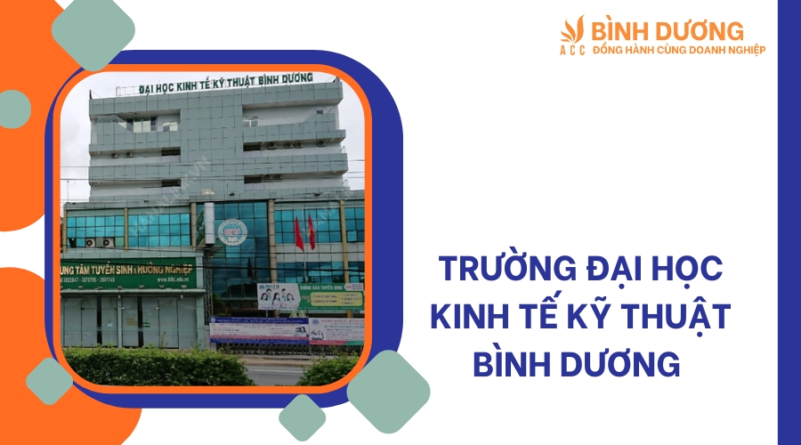 Bình Dương có bao nhiêu trường đại học ?