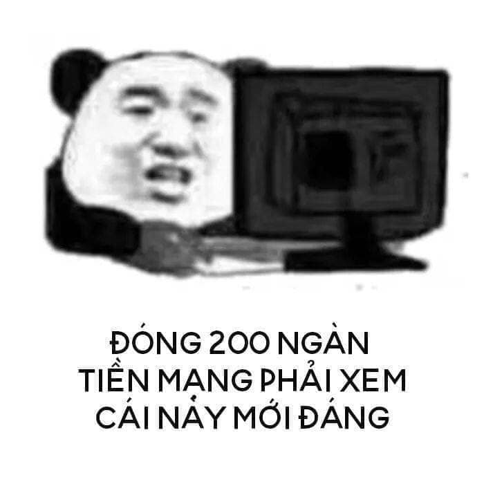 100+ hình gấu trúc meme hài, bựa hot nhất, lưu ngay về máy