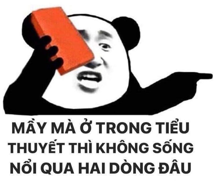 100+ hình gấu trúc meme hài, bựa hot nhất, lưu ngay về máy