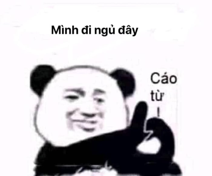 100+ hình gấu trúc meme hài, bựa hot nhất, lưu ngay về máy