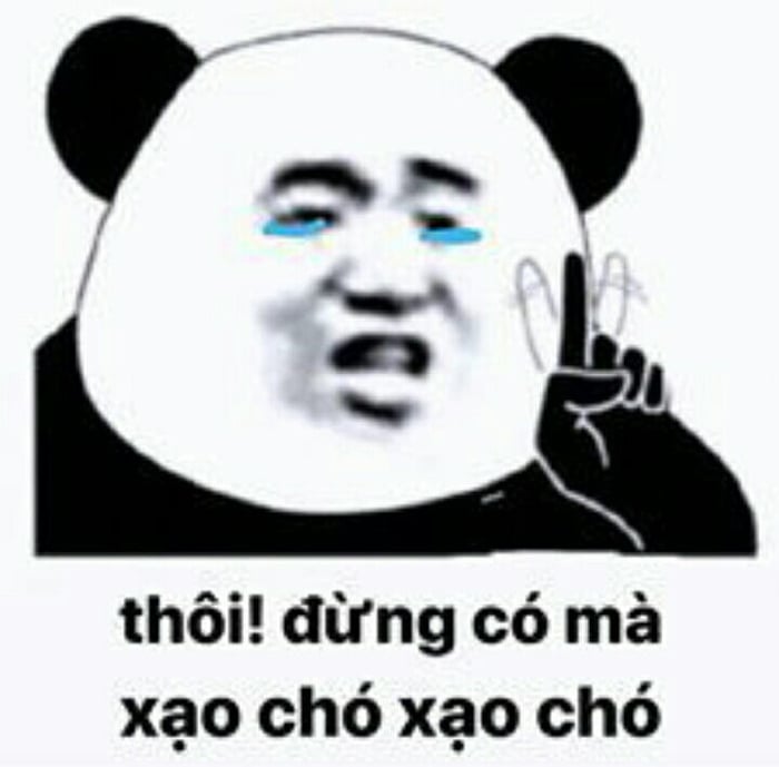 100+ hình gấu trúc meme hài, bựa hot nhất, lưu ngay về máy