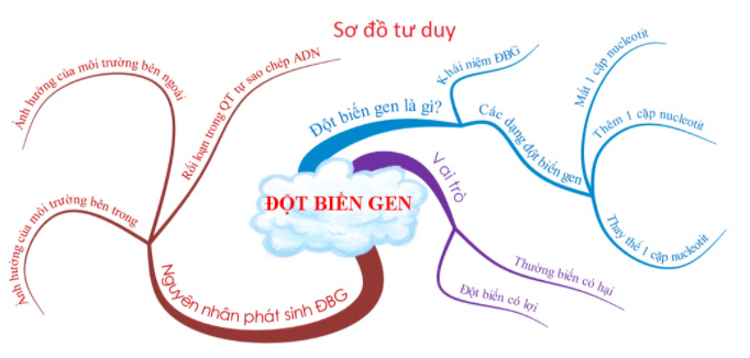 Đột Biến Gen Là Gì? Ý Nghĩa, Hậu Quả Và Các Dạng Đột Biến Gen