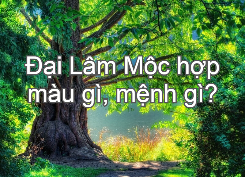 Mệnh Đại Lâm Mộc là gì? Hợp với màu gì và kỵ màu gì?