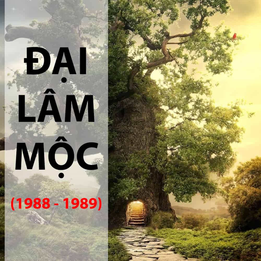 Mệnh Đại Lâm Mộc là gì? Hợp với màu gì và kỵ màu gì?