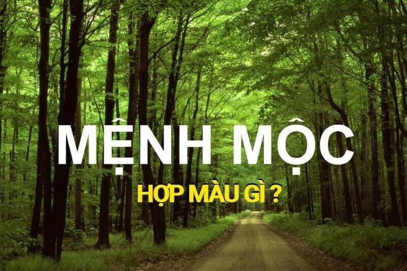 Mệnh Đại Lâm Mộc là gì? Hợp với màu gì và kỵ màu gì?