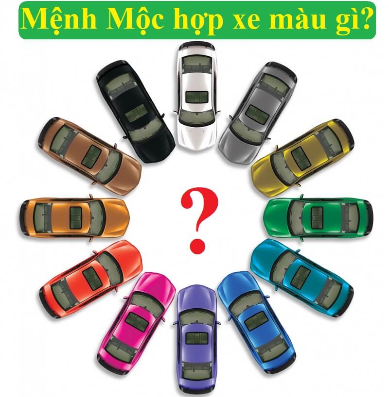 Mệnh Đại Lâm Mộc là gì? Hợp với màu gì và kỵ màu gì?