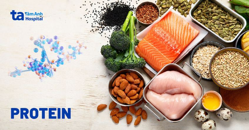 Protein là gì? Cấu tạo, chức năng của Protein với sức khỏe cơ thể