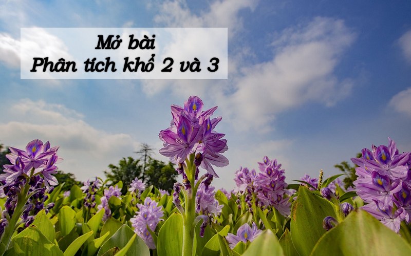 Cách mở và kết bài Mùa xuân nho nhỏ (cơ bản - nâng cao)