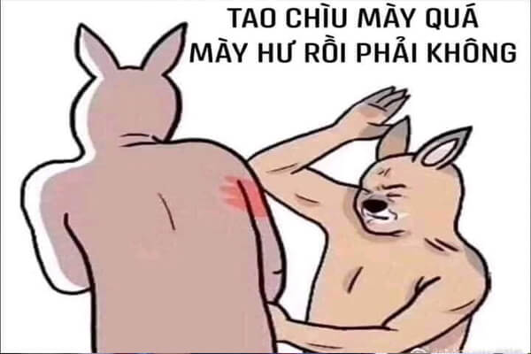 Tổng hợp meme đánh nhau vui vẻ và hài hước