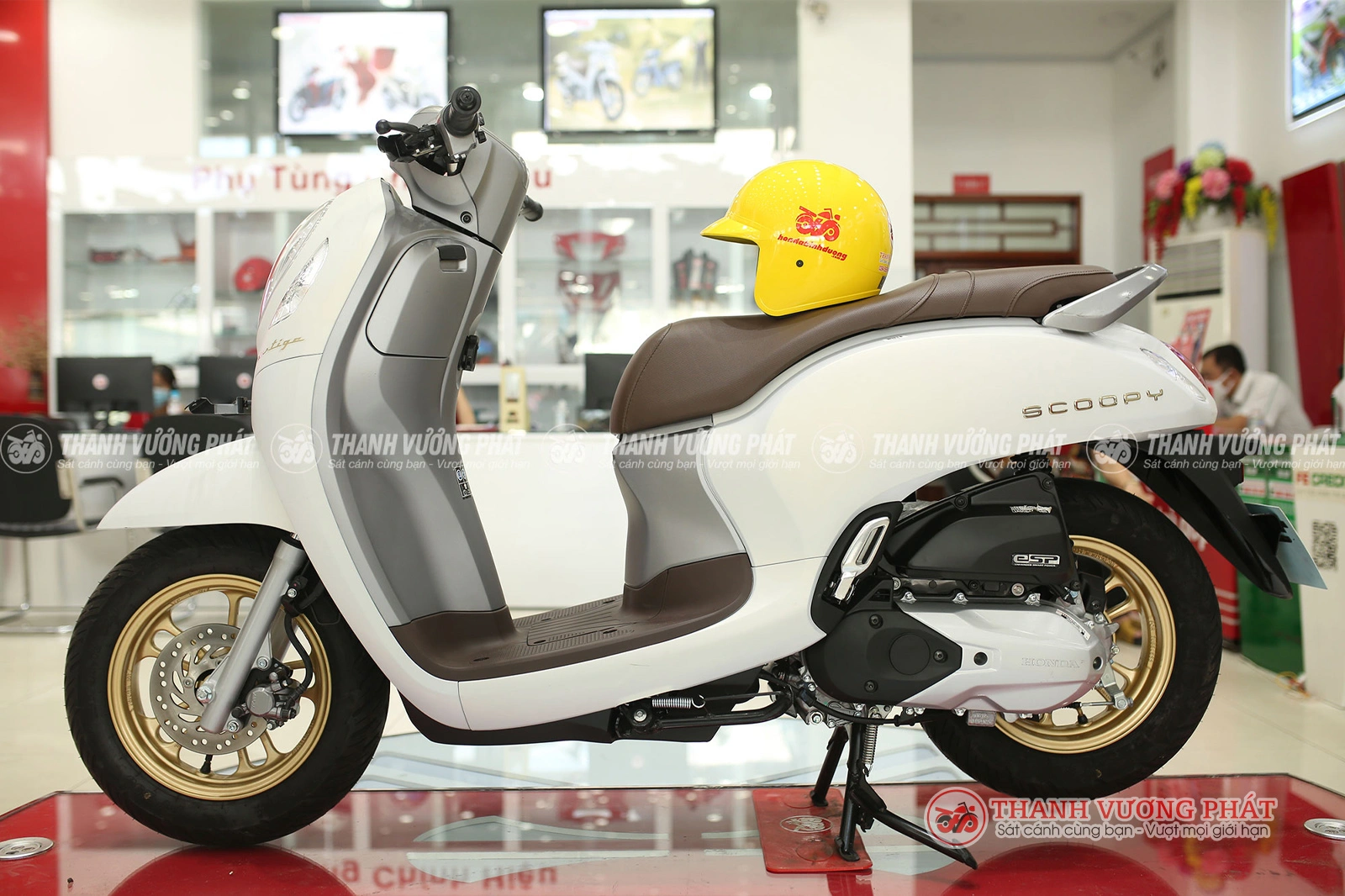 Scoopy 110 Nhập khẩu