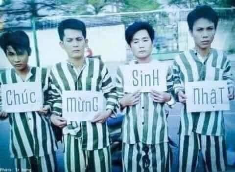 Bộ sưu tập meme chúc mừng sinh nhật hài hước, vui nhộn, và lầy lội