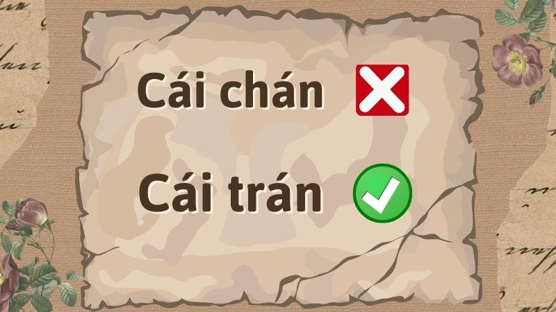 Cái trán hay cái chán đúng chính tả?