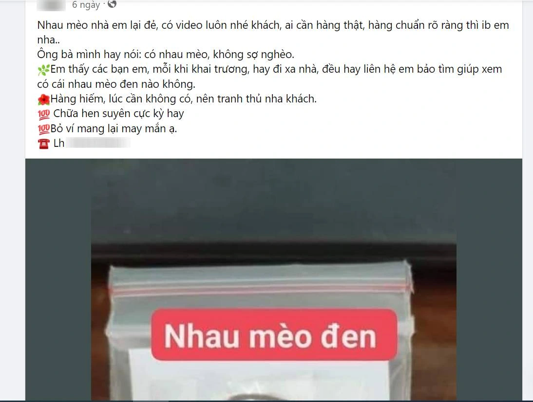 Nhau mèo đen