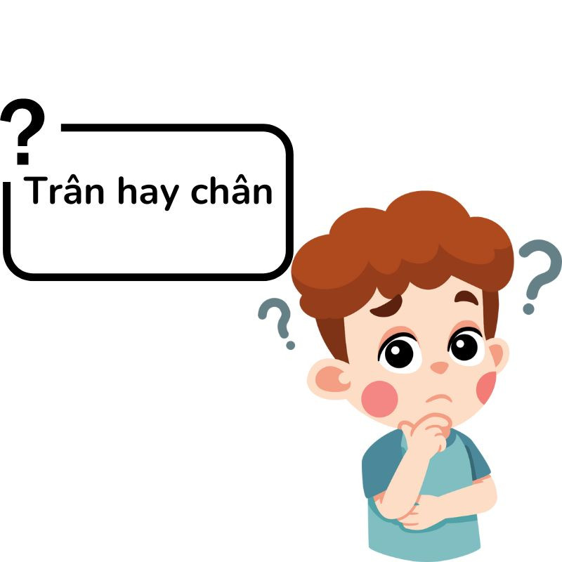 Trân tình hay chân tình? Giải mã cách dùng chuẩn từ trân hay chân trong tiếng Việt