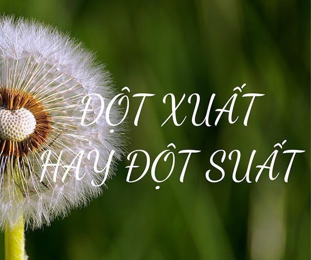 Đột xuất hay đột suất? Cách phân biệt đúng cho từ đột xuất lẫn đột suất?