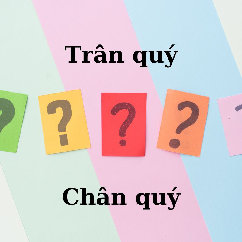 Trân tình hay chân tình? Giải mã cách dùng chuẩn từ trân hay chân trong tiếng Việt