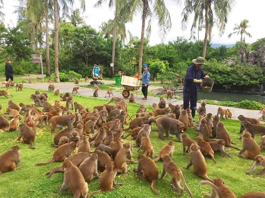 1 ngày ở nha trang nên đi đâu ? ăn gì