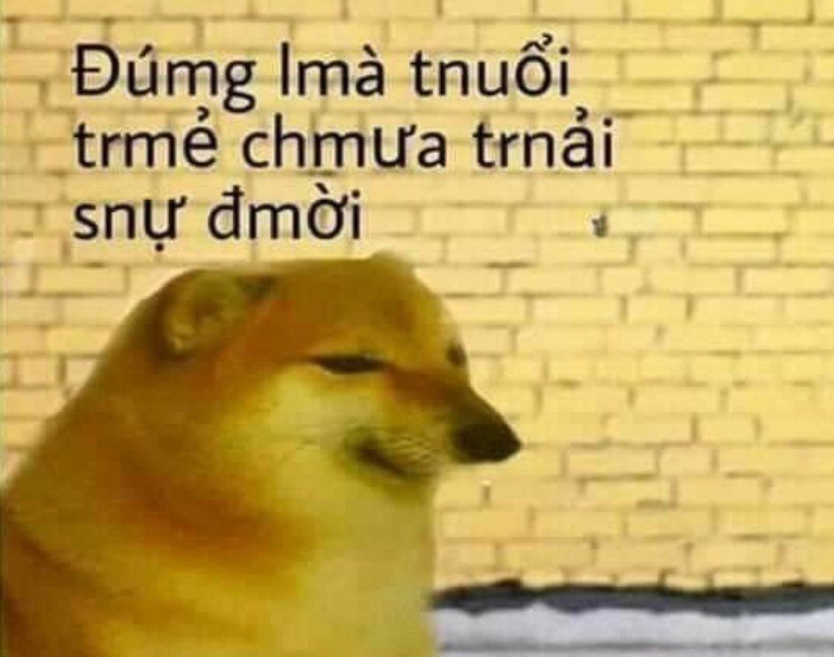 List Cheems meme, meme Shiba bonk, cầm súng thú vị nhất