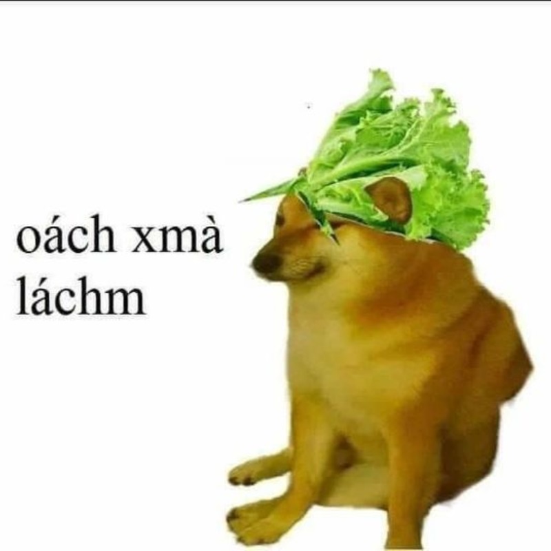 List Cheems meme, meme Shiba bonk, cầm súng thú vị nhất