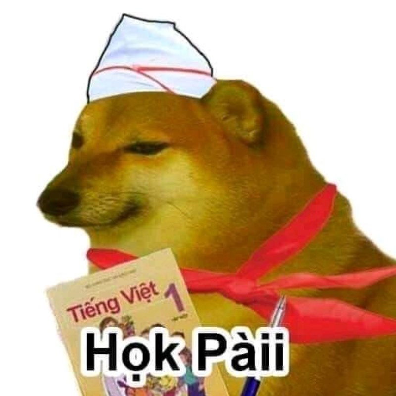 List Cheems meme, meme Shiba bonk, cầm súng thú vị nhất