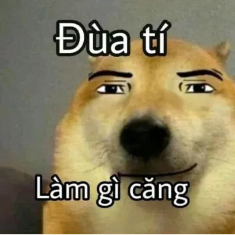 List Cheems meme, meme Shiba bonk, cầm súng thú vị nhất