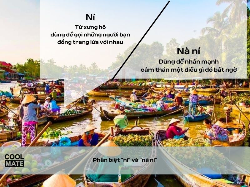 Ní là gì? Nà ní là gì? Tại sao giới trẻ lại chuộng sử dụng