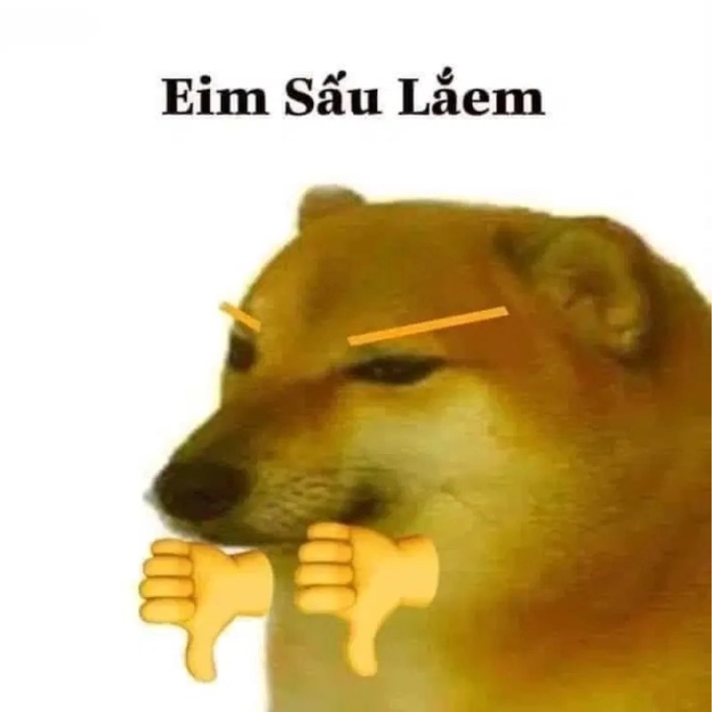 List Cheems meme, meme Shiba bonk, cầm súng thú vị nhất