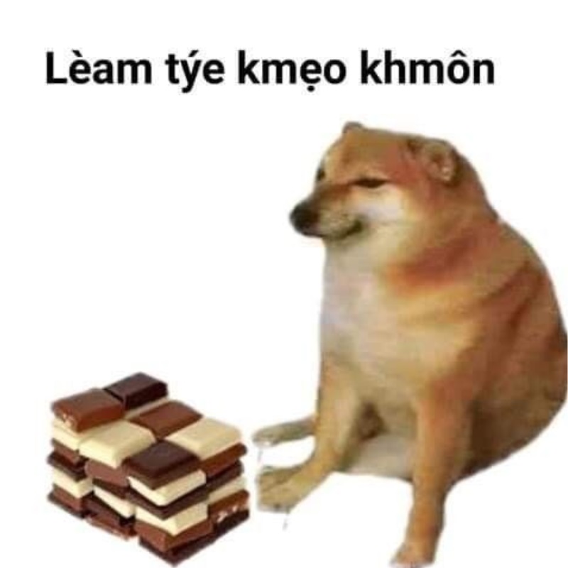 List Cheems meme, meme Shiba bonk, cầm súng thú vị nhất