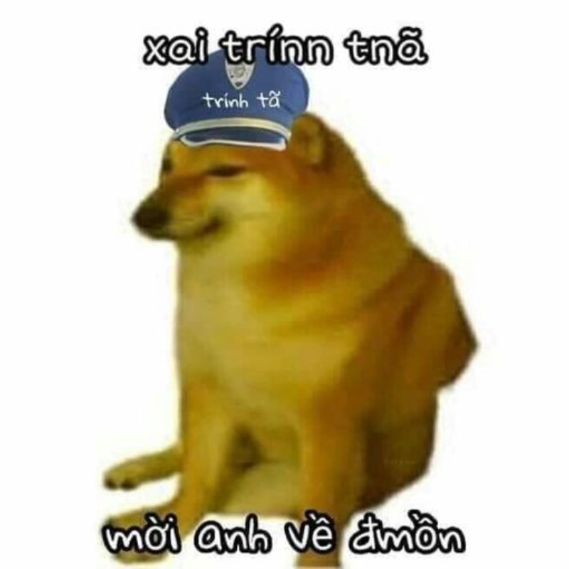 List Cheems meme, meme Shiba bonk, cầm súng thú vị nhất