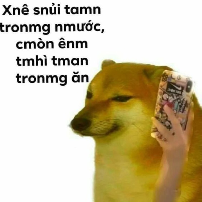 List Cheems meme, meme Shiba bonk, cầm súng thú vị nhất