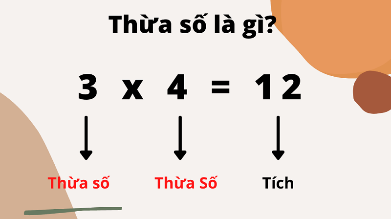 Thừa số là gì? Cách phân tích một số thành các thừa số