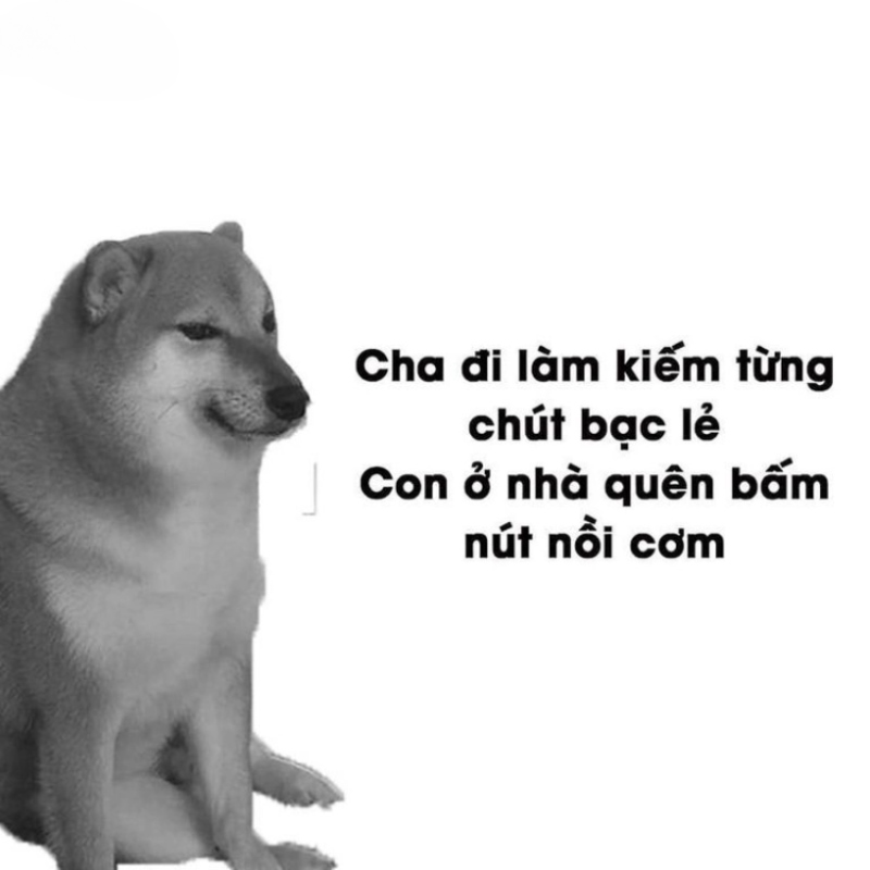 List Cheems meme, meme Shiba bonk, cầm súng thú vị nhất