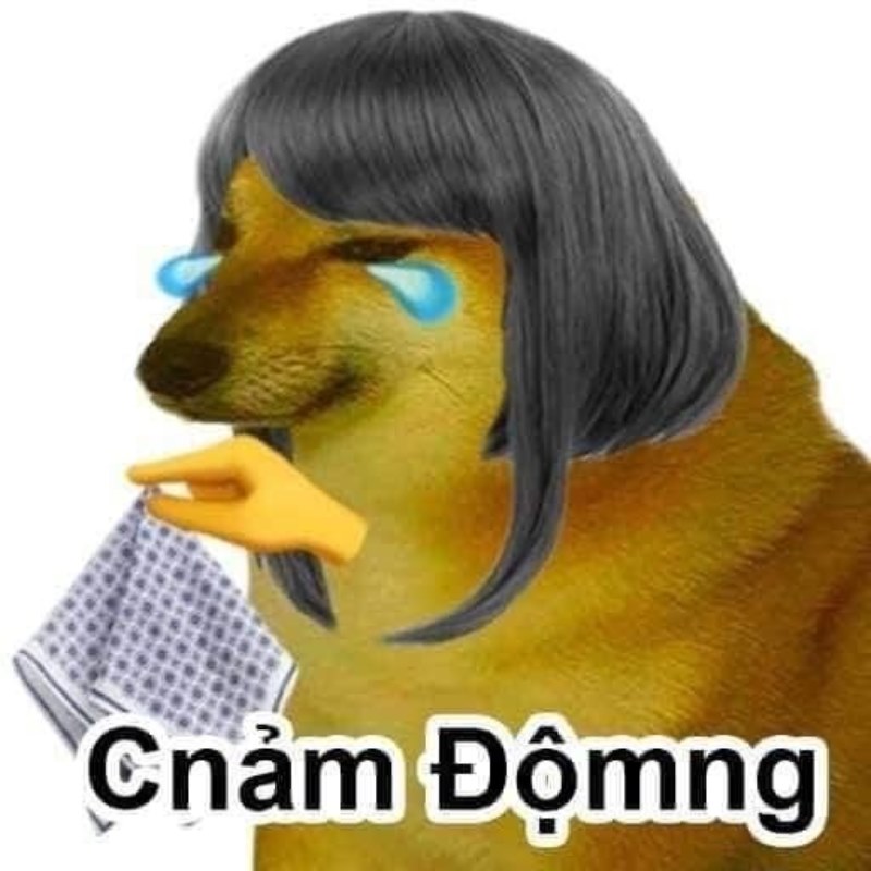 List Cheems meme, meme Shiba bonk, cầm súng thú vị nhất