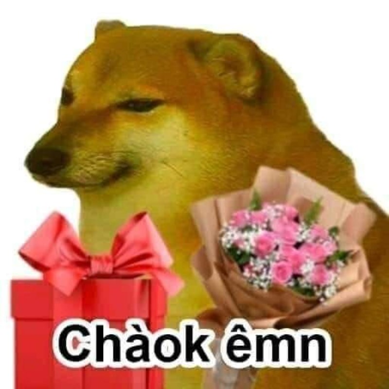 List Cheems meme, meme Shiba bonk, cầm súng thú vị nhất