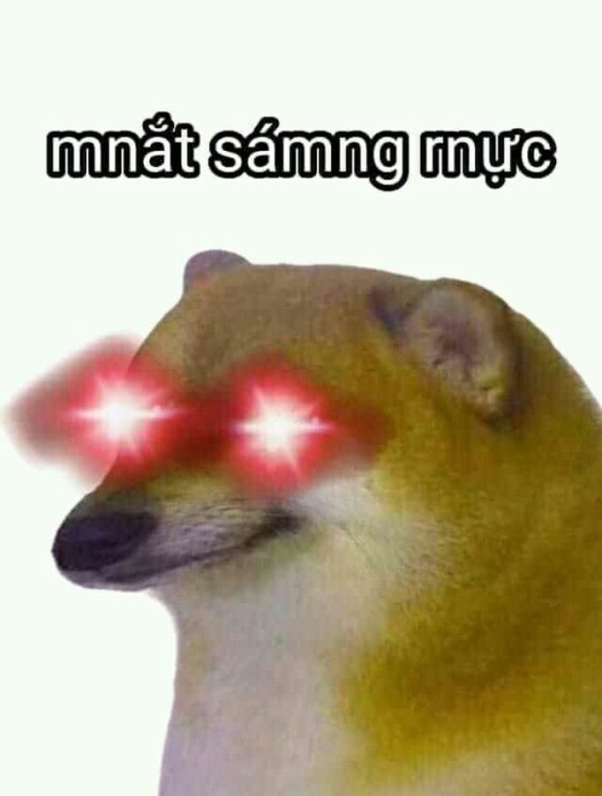 List Cheems meme, meme Shiba bonk, cầm súng thú vị nhất