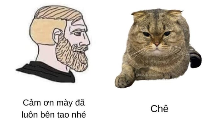 Charm với 30 meme chê đầy ấn tượng