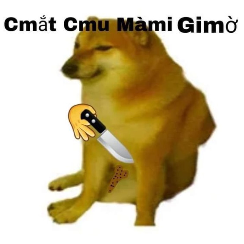 List Cheems meme, meme Shiba bonk, cầm súng thú vị nhất