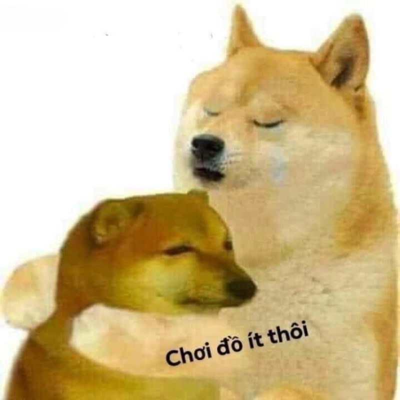 List Cheems meme, meme Shiba bonk, cầm súng thú vị nhất