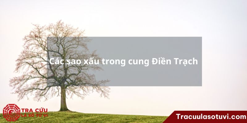 Cung Điền Trạch là gì? Luận giải ý nghĩa cung Điền khi các sao tọa thủ trên lá số tử vi