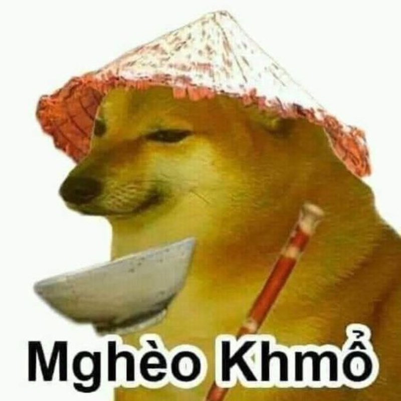 List Cheems meme, meme Shiba bonk, cầm súng thú vị nhất